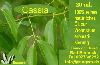 Cassiaöl 20 ml