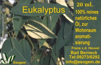 Eukalyptusöl 20 ml