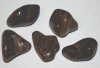 Bronzit mit silberfarbenen Tulpe (Abb. B)