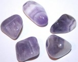 Amethyst-Quarz mit Silber-Tulpe (Abb. D)